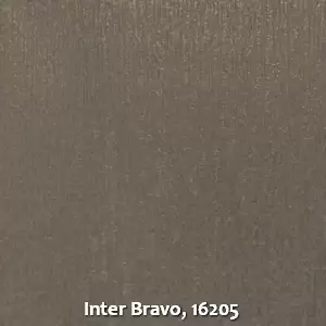 Inter Bravo, 16205