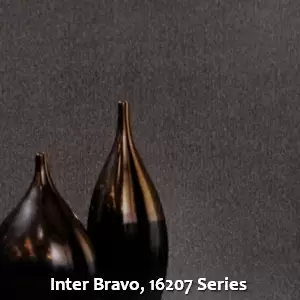 Inter Bravo, 16207 Series