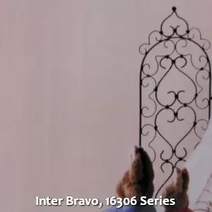 Inter Bravo, 16306 Series