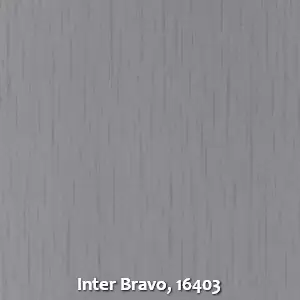 Inter Bravo, 16403