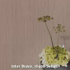 Inter Bravo, 16406 Series