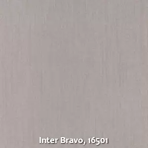 Inter Bravo, 16501