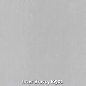 Inter Bravo, 16502