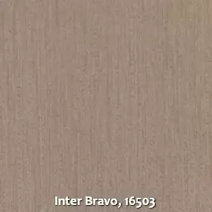 Inter Bravo, 16503