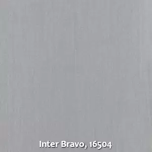 Inter Bravo, 16504