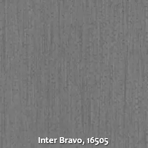 Inter Bravo, 16505