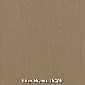 Inter Bravo, 16506