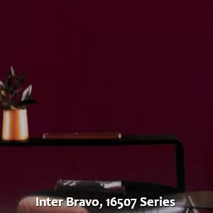 Inter Bravo, 16507 Series