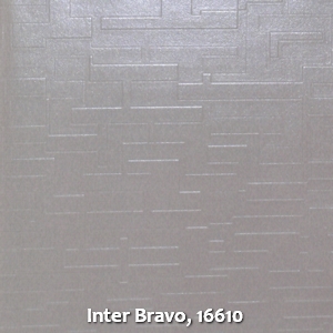 Inter Bravo, 16610