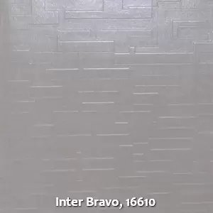 Inter Bravo, 16610