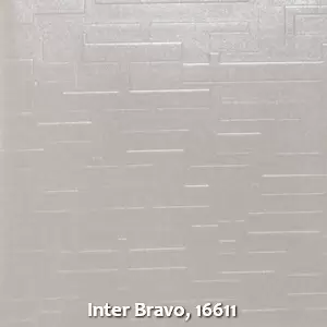 Inter Bravo, 16611