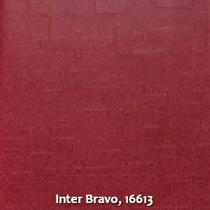 Inter Bravo, 16613