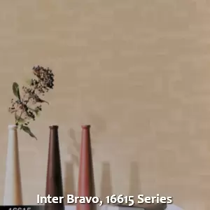 Inter Bravo, 16615 Series