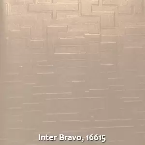 Inter Bravo, 16615