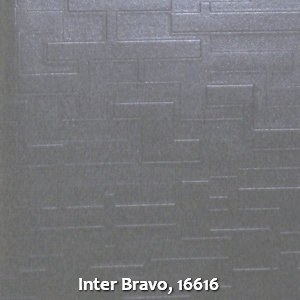 Inter Bravo, 16616
