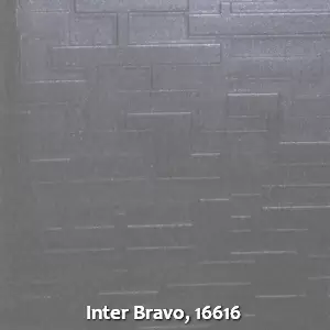 Inter Bravo, 16616