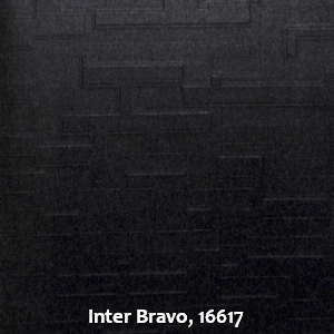 Inter Bravo, 16617