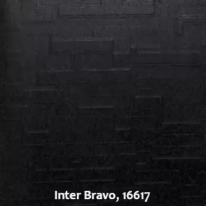 Inter Bravo, 16617