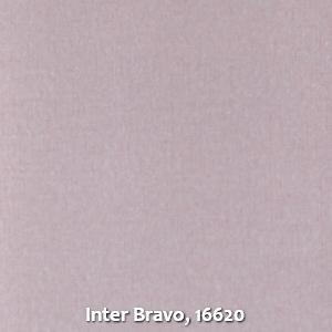 Inter Bravo, 16620