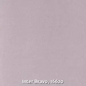 Inter Bravo, 16620