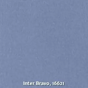 Inter Bravo, 16621