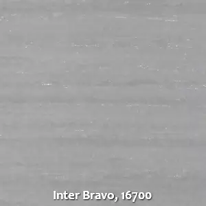 Inter Bravo, 16700