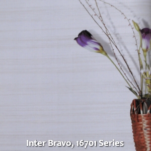 Inter Bravo, 16701 Series