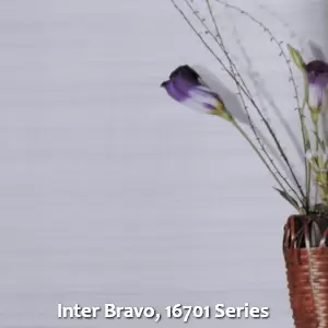 Inter Bravo, 16701 Series