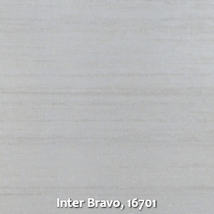 Inter Bravo, 16701