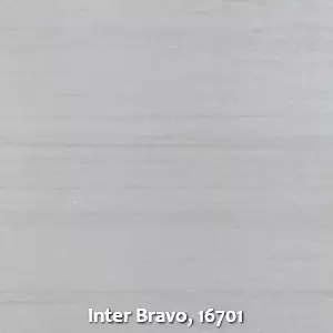 Inter Bravo, 16701