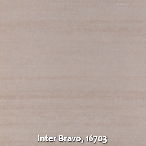 Inter Bravo, 16703