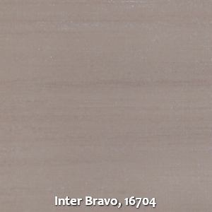 Inter Bravo, 16704