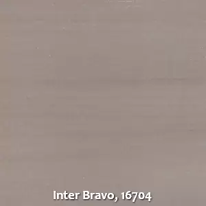 Inter Bravo, 16704