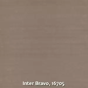 Inter Bravo, 16705