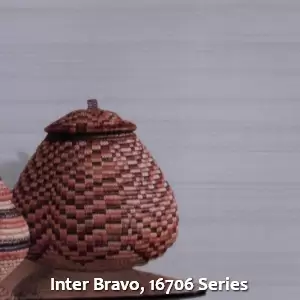 Inter Bravo, 16706 Series