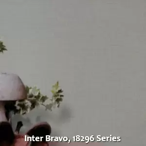 Inter Bravo, 18296 Series