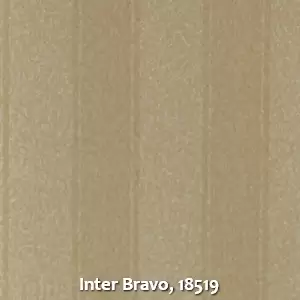 Inter Bravo, 18519