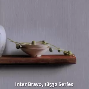 Inter Bravo, 18532 Series