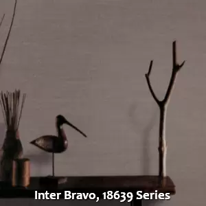 Inter Bravo, 18639 Series