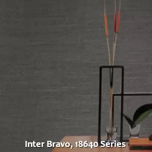 Inter Bravo, 18640 Series