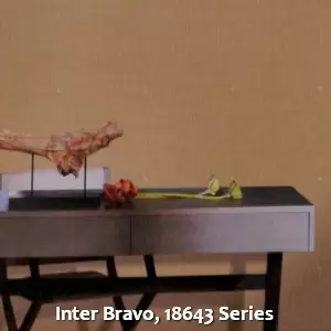 Inter Bravo, 18643 Series