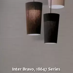 Inter Bravo, 18647 Series