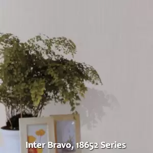 Inter Bravo, 18652 Series