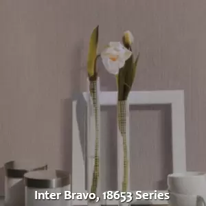 Inter Bravo, 18653 Series