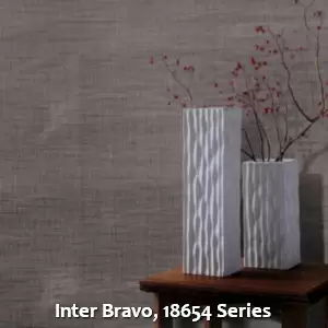 Inter Bravo, 18654 Series