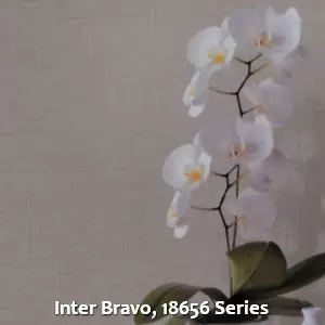 Inter Bravo, 18656 Series