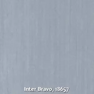 Inter Bravo, 18657