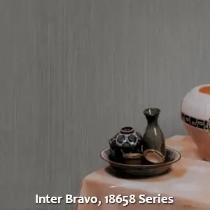 Inter Bravo, 18658 Series