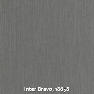 Inter Bravo, 18658