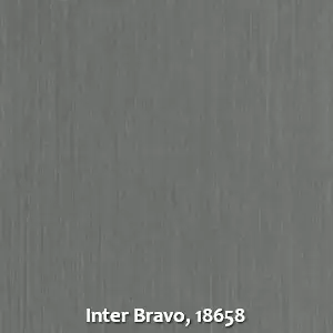 Inter Bravo, 18658